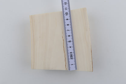 White mammoth ivory segment