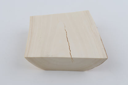 White mammoth ivory segment