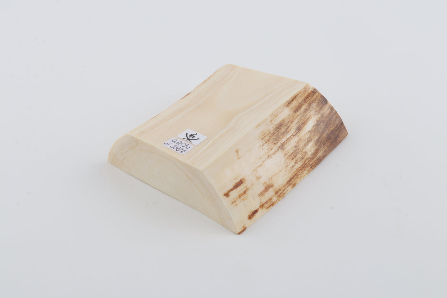 White mammoth ivory segment