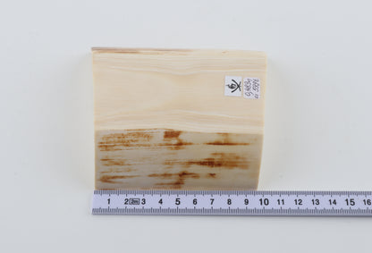 White mammoth ivory segment
