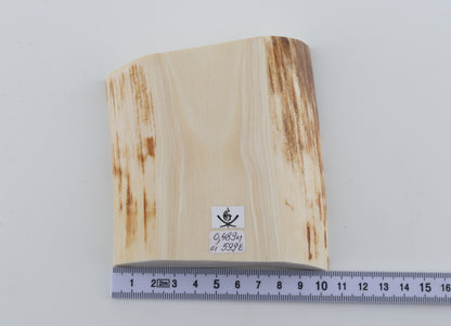 White mammoth ivory segment