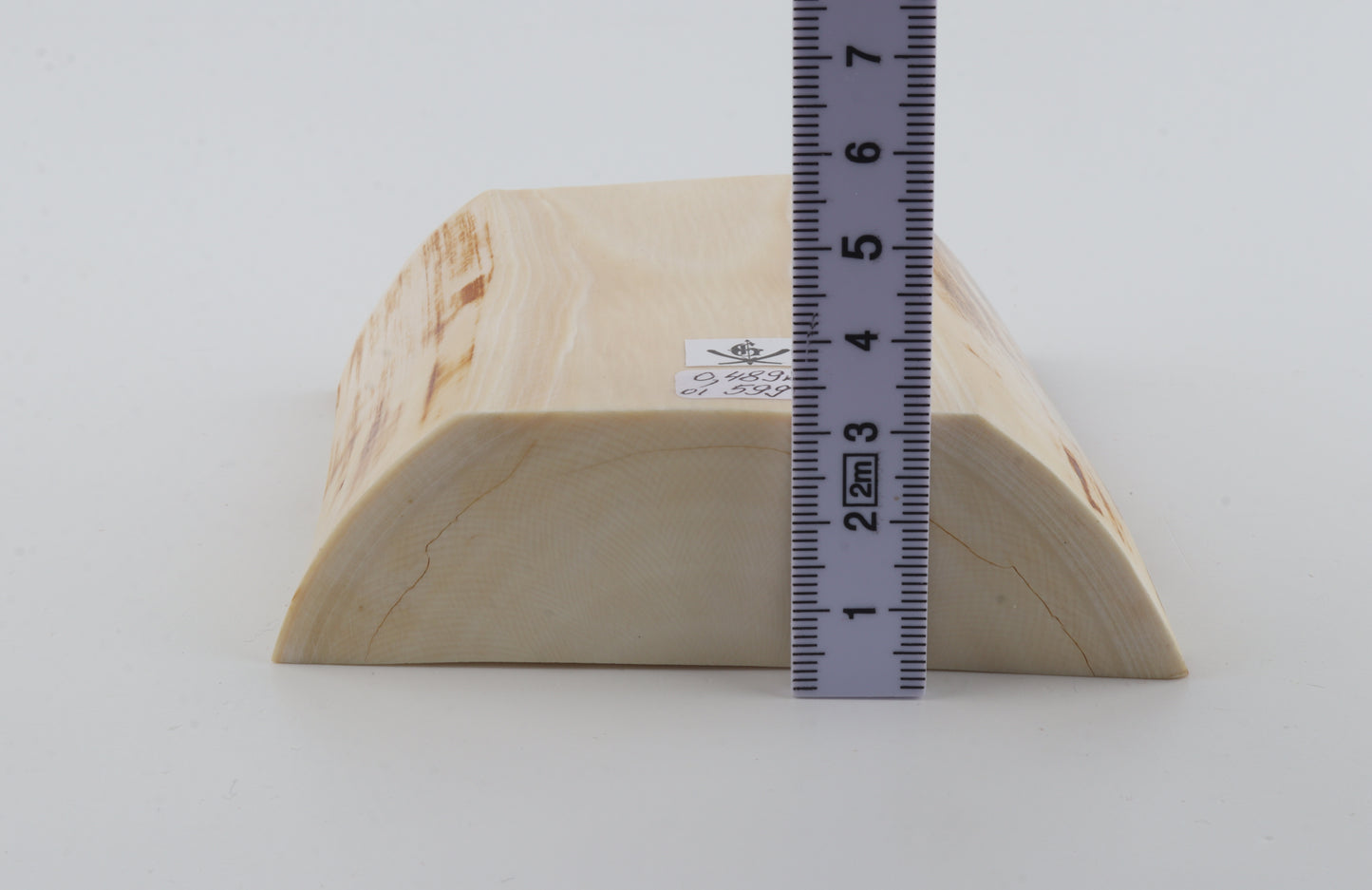 White mammoth ivory segment