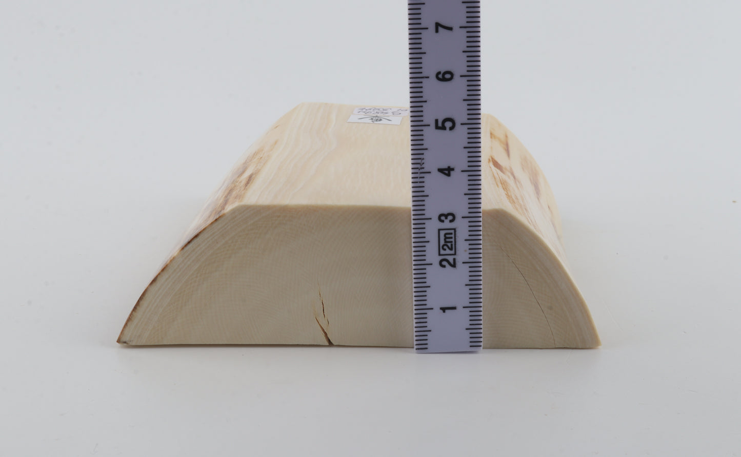 White mammoth ivory segment