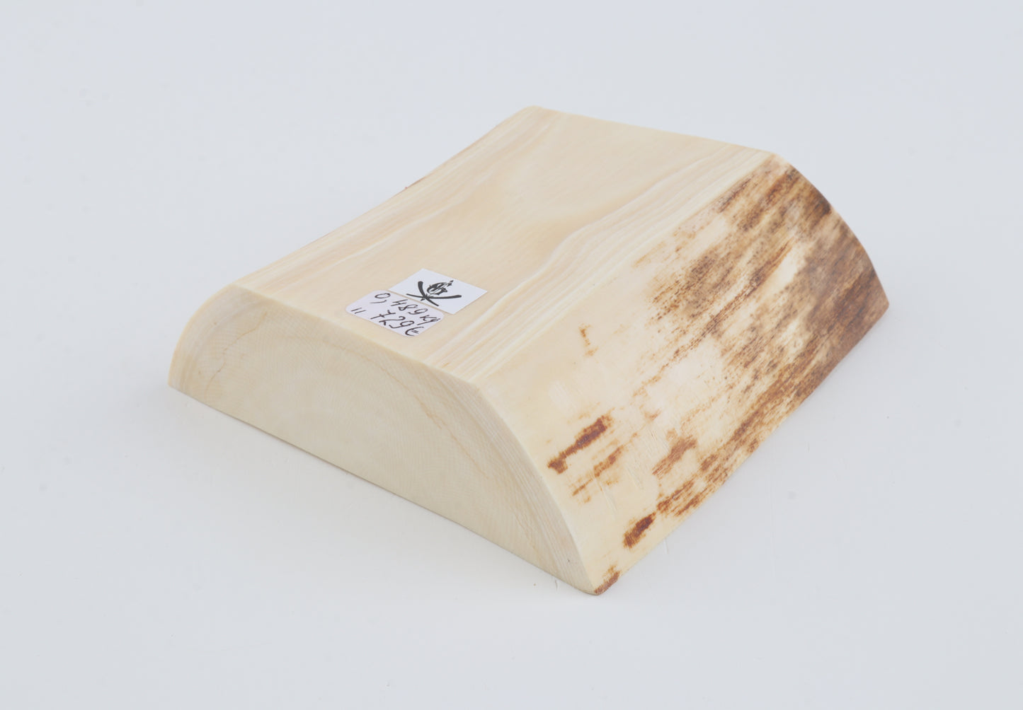 White mammoth ivory segment