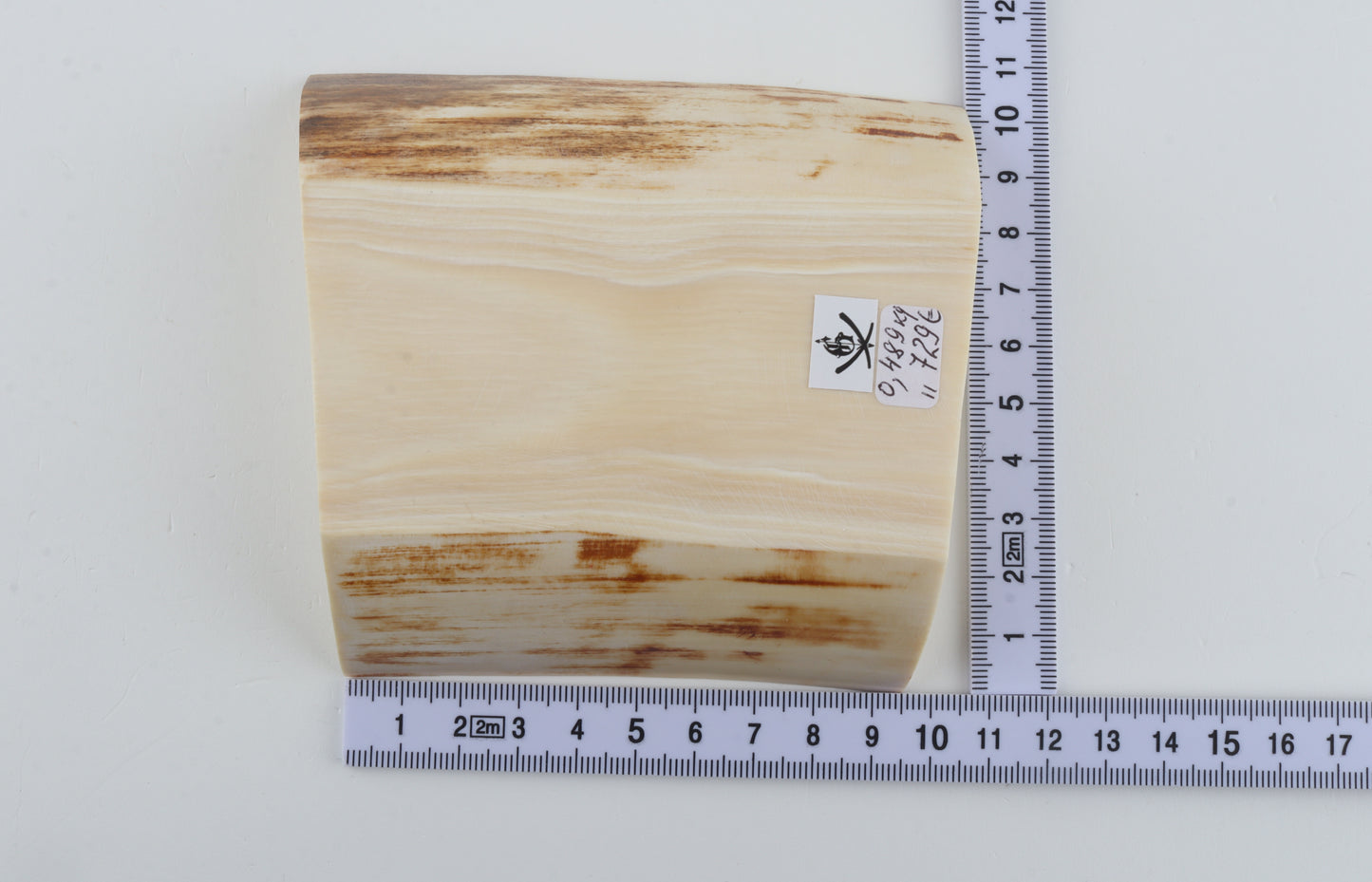 White mammoth ivory segment