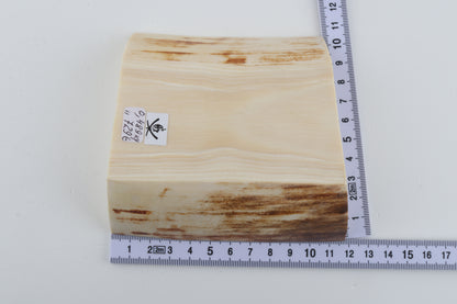 White mammoth ivory segment