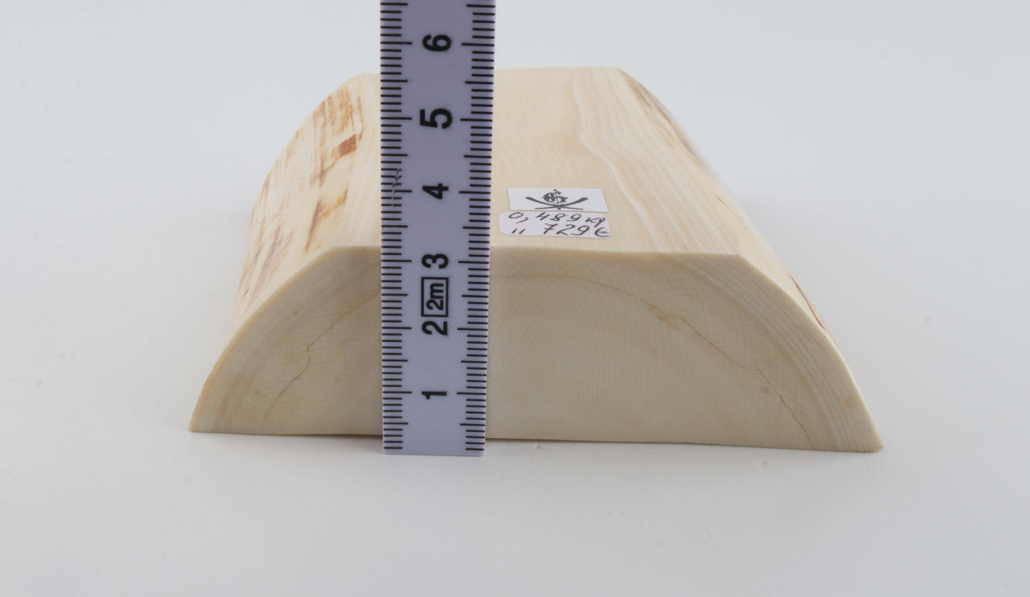 White mammoth ivory segment