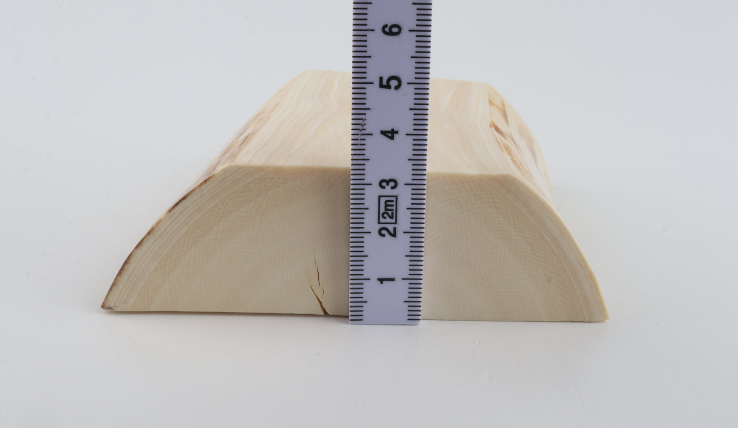 White mammoth ivory segment