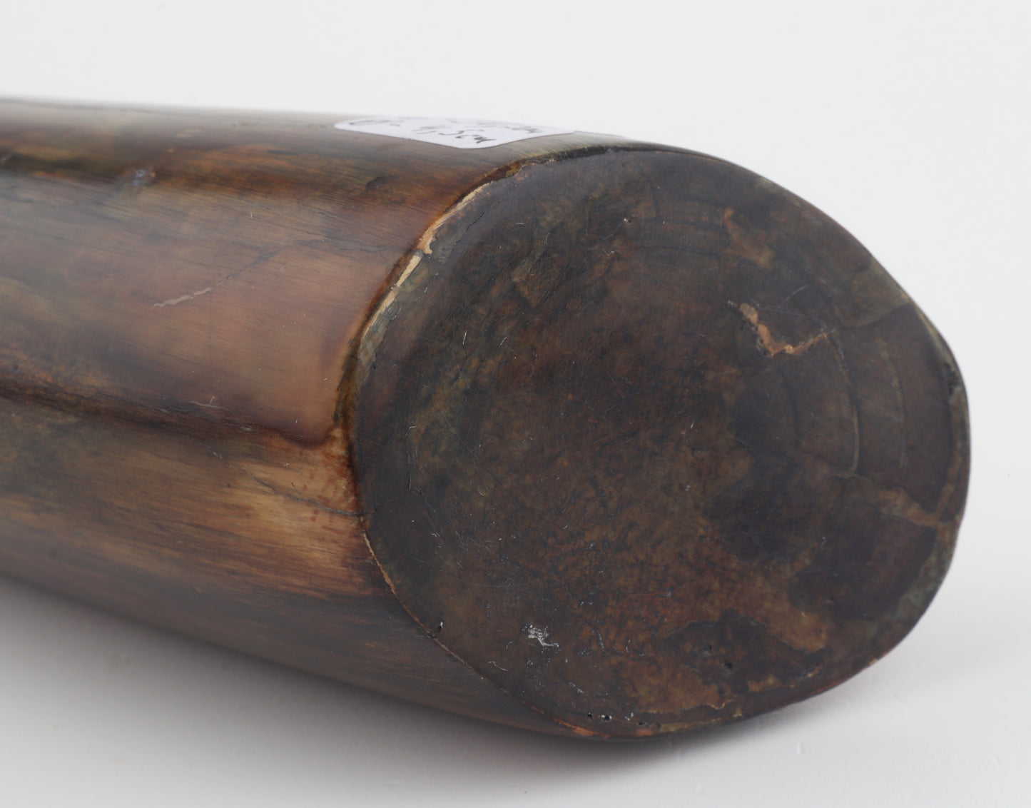 Restored woolly mamoth tusk tip