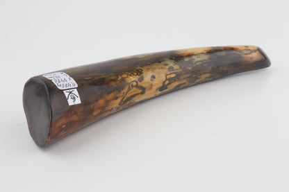 Restored woolly mamoth tusk tip