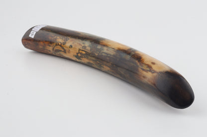 Restored woolly mamoth tusk tip