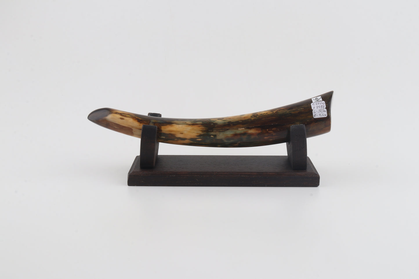 Restored woolly mamoth tusk tip
