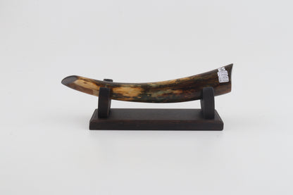 Restored woolly mamoth tusk tip