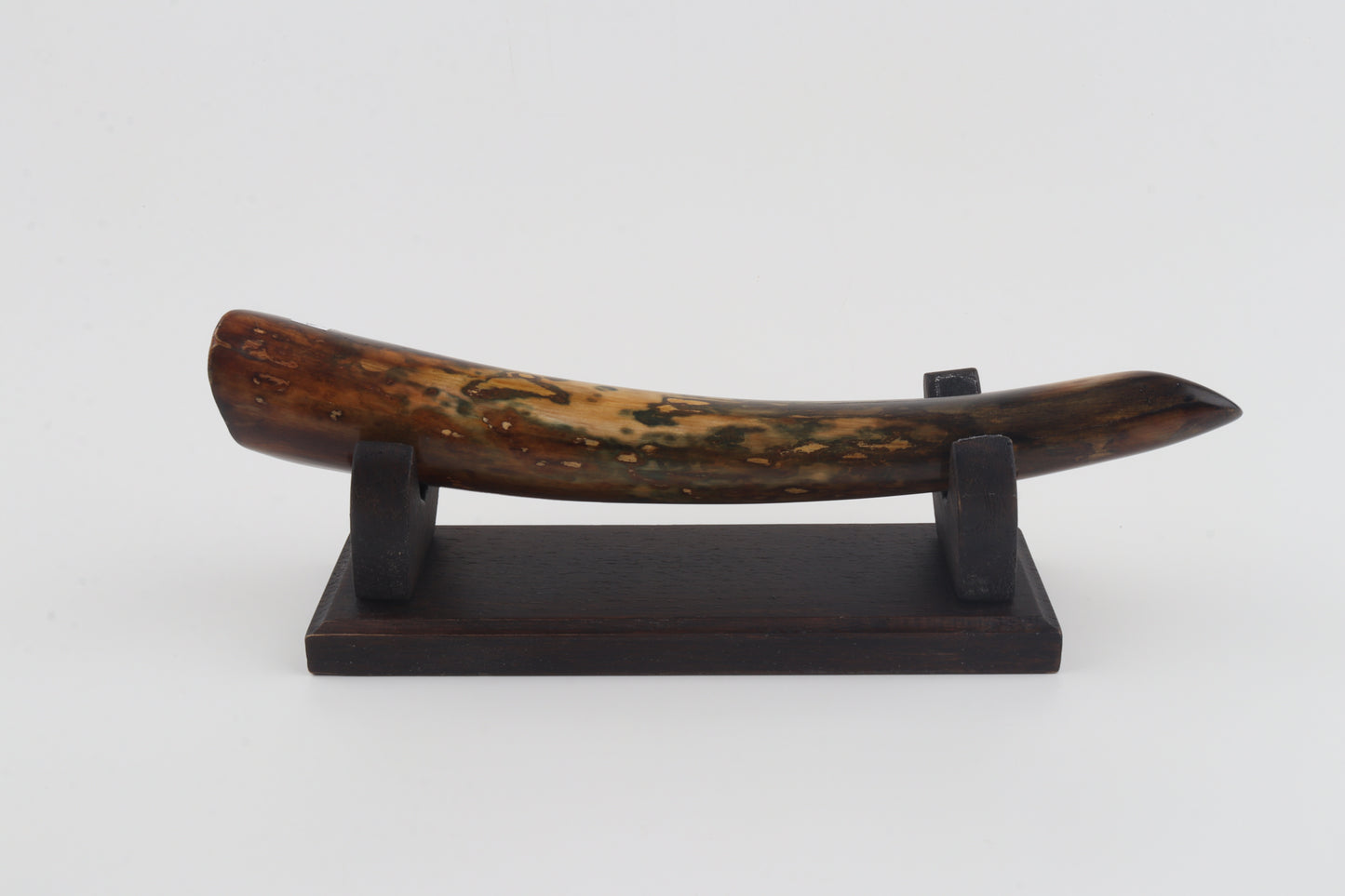 Restored woolly mamoth tusk tip