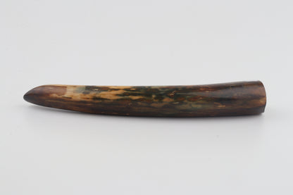 Restored woolly mamoth tusk tip