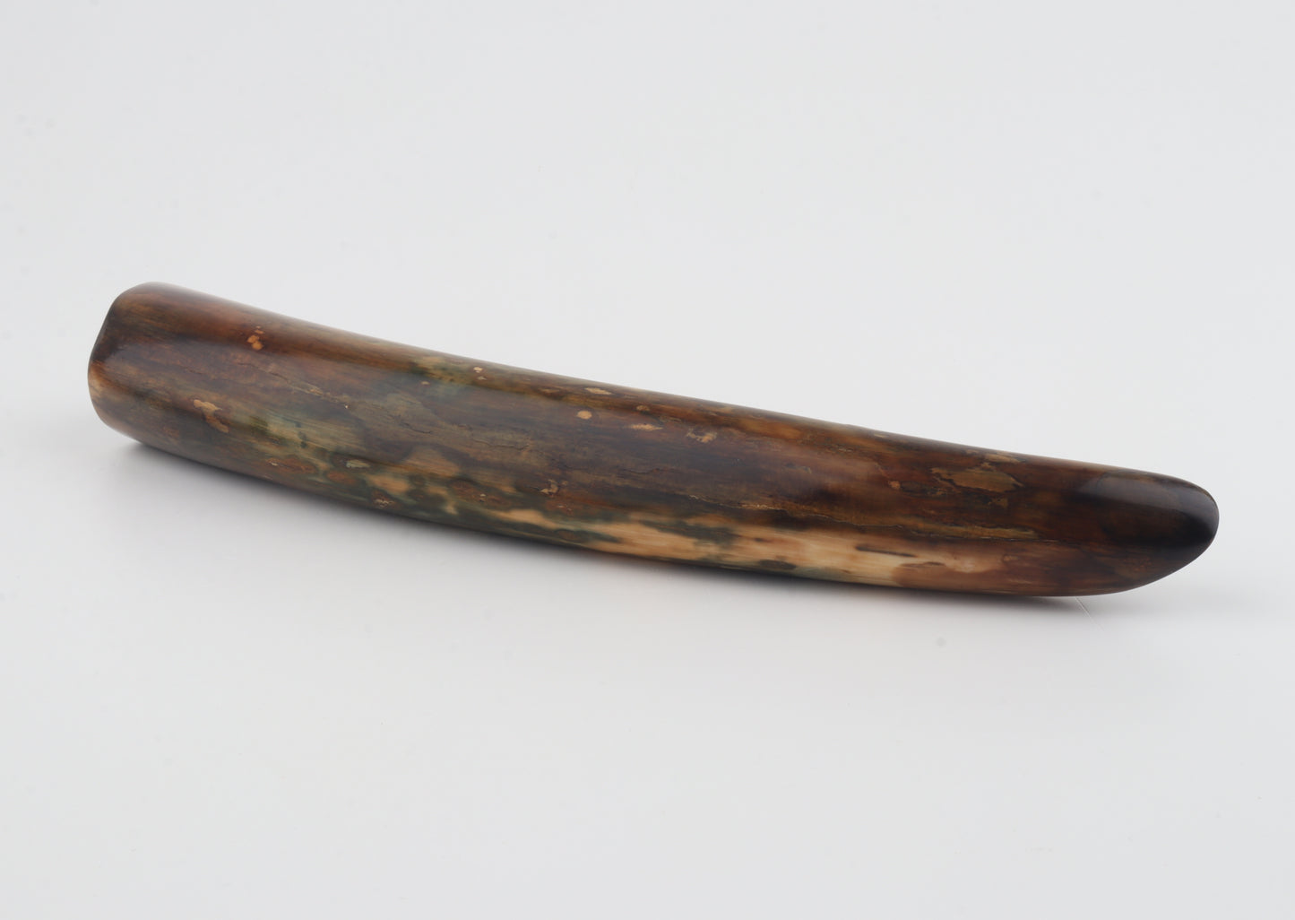 Restored woolly mamoth tusk tip
