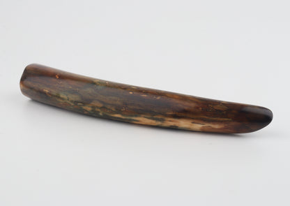 Restored woolly mamoth tusk tip
