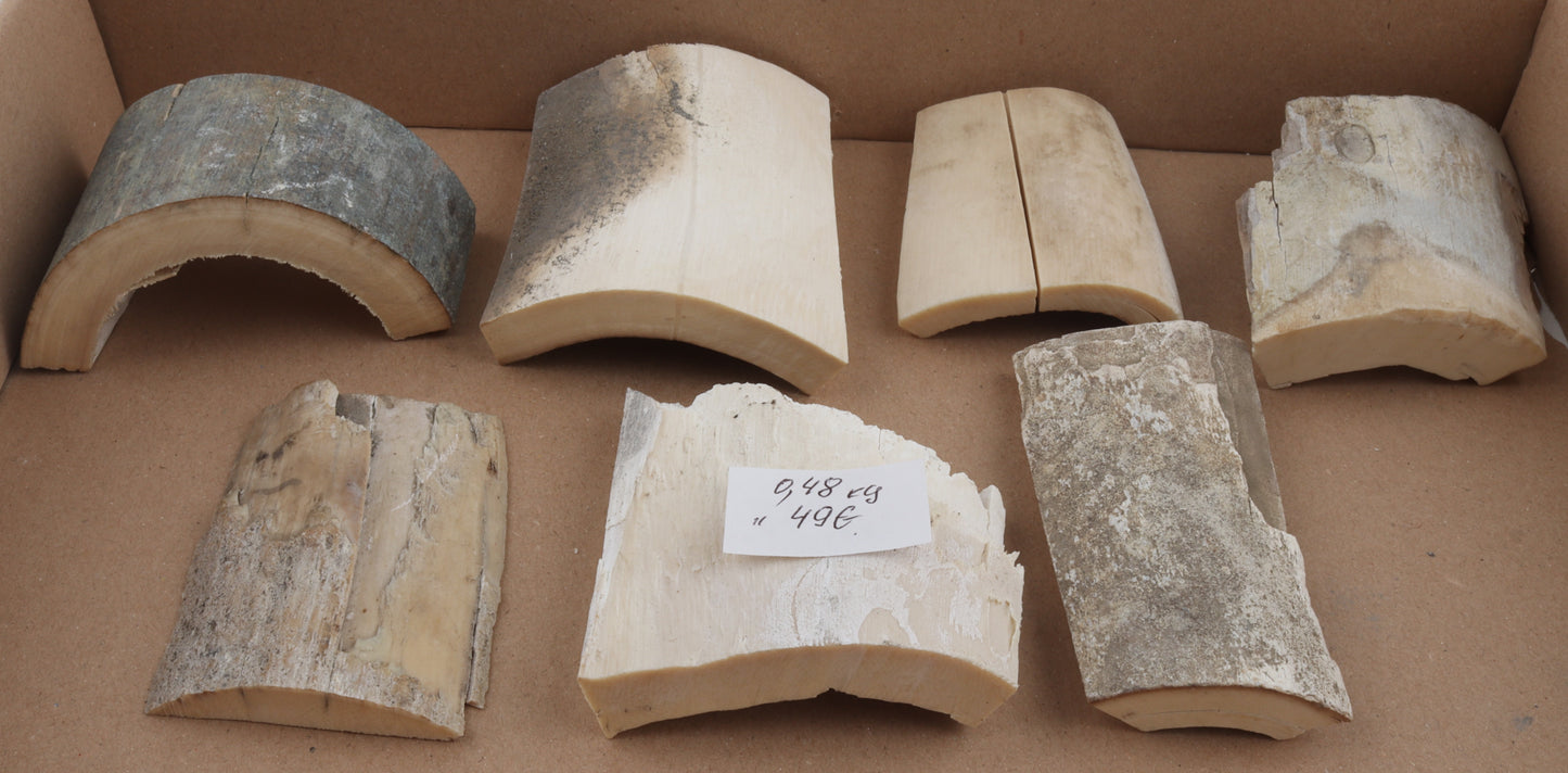 Raw mammoth ivory pieces