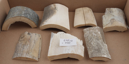 Raw mammoth ivory pieces