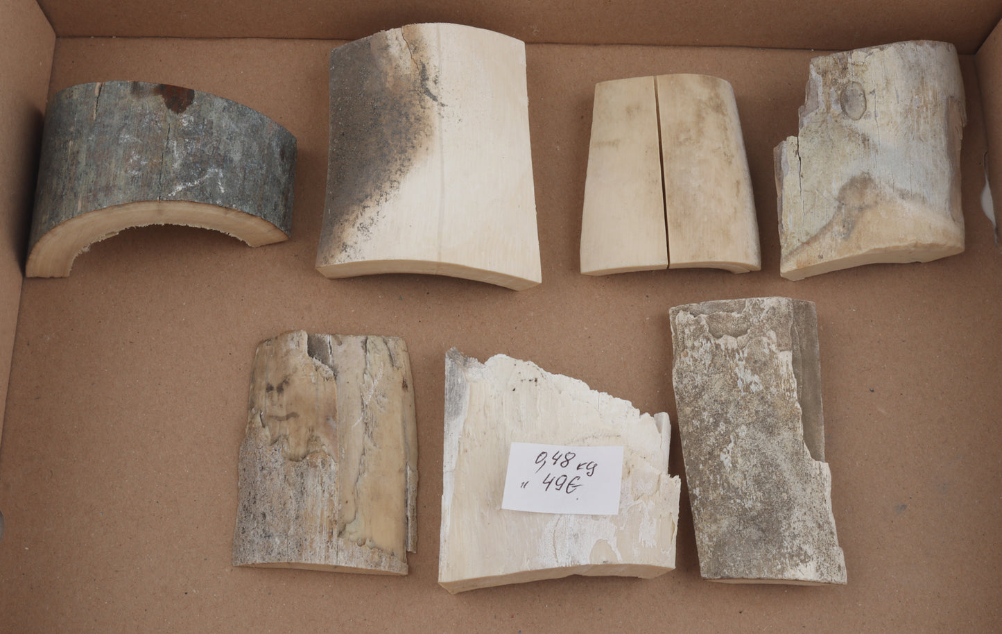Raw mammoth ivory pieces