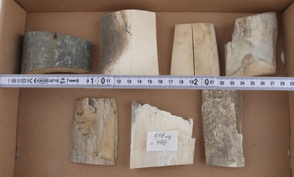 Raw mammoth ivory pieces