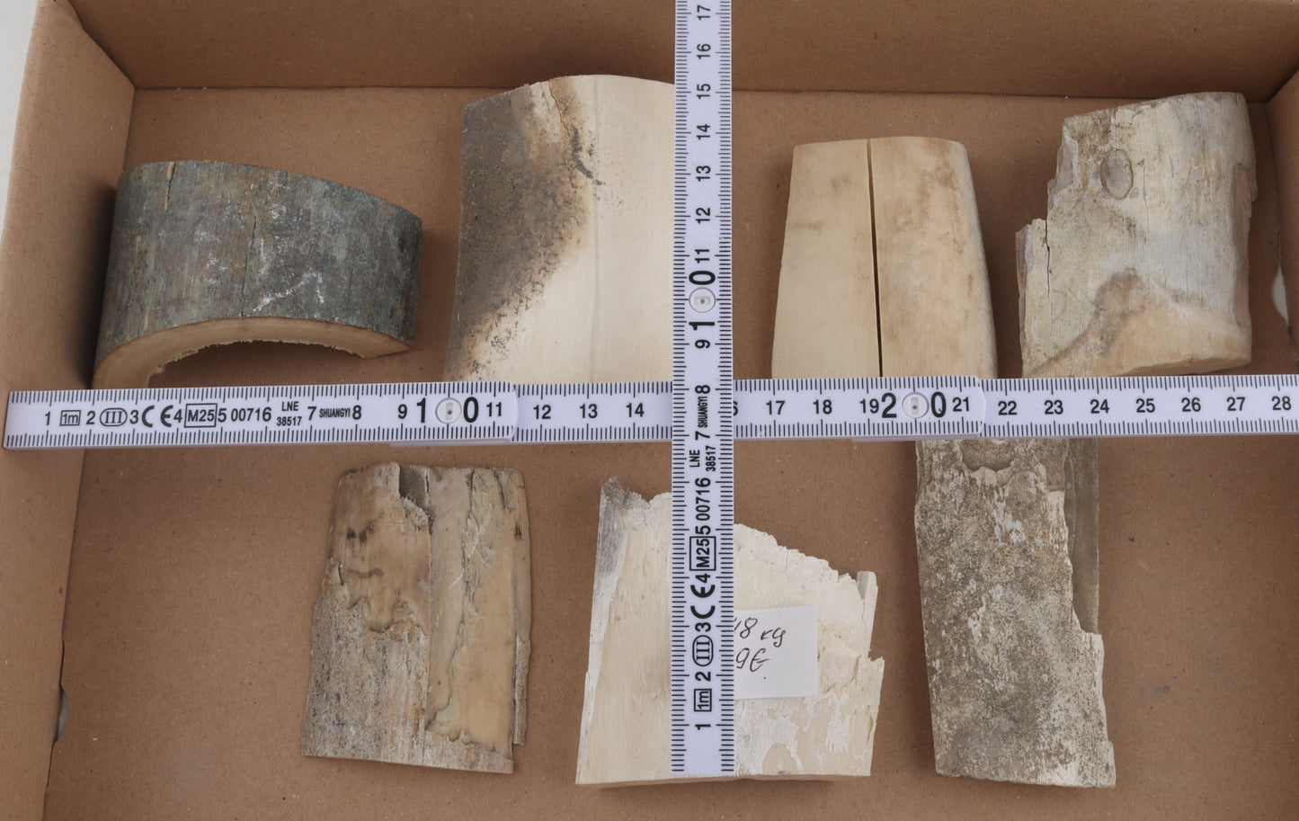 Raw mammoth ivory pieces