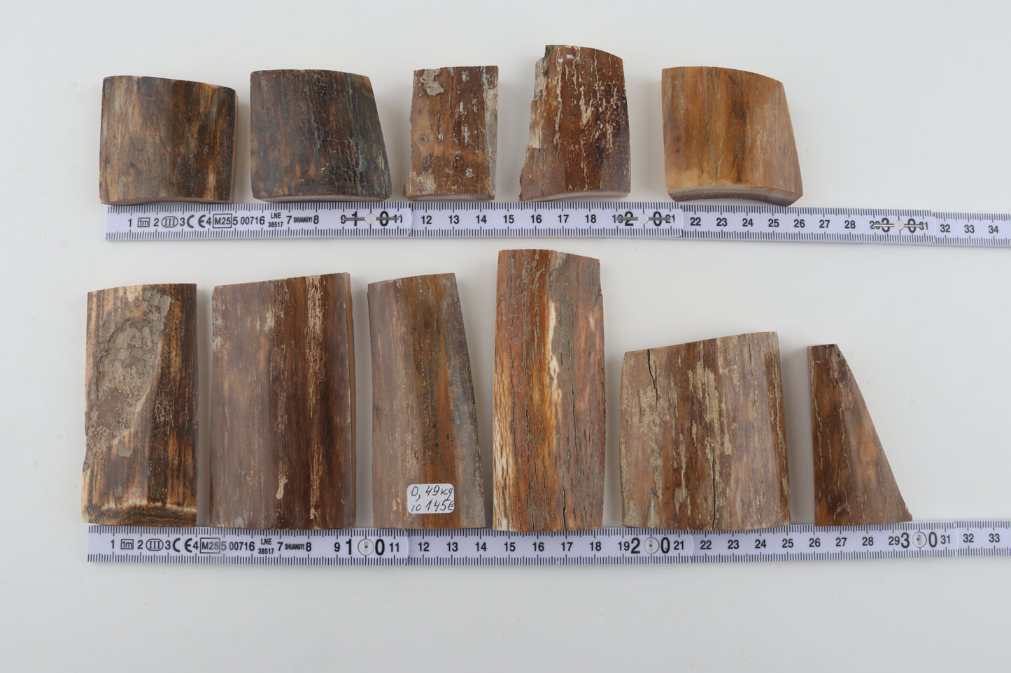 Beige-brown mammoth bark pieces