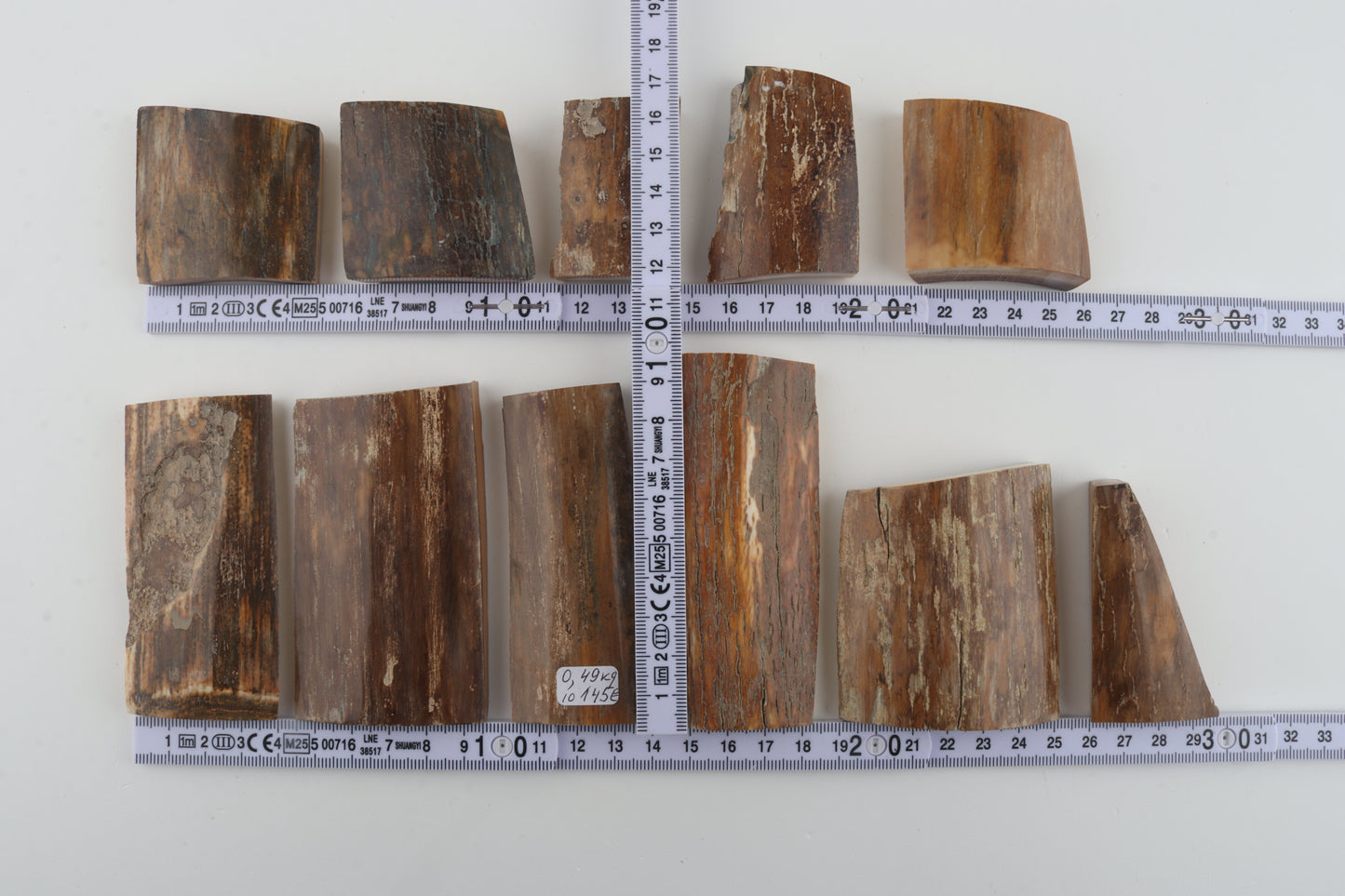 Beige-brown mammoth bark pieces