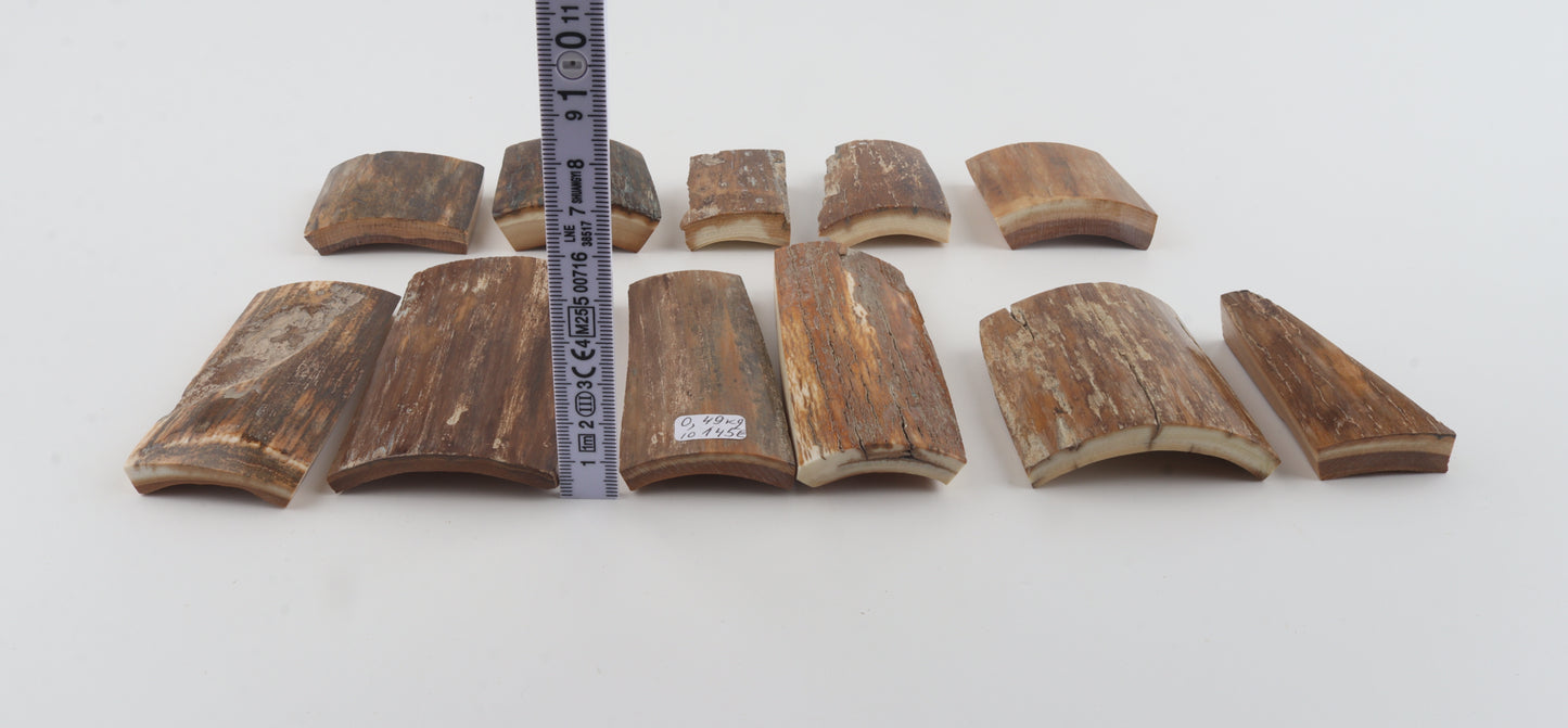 Beige-brown mammoth bark pieces
