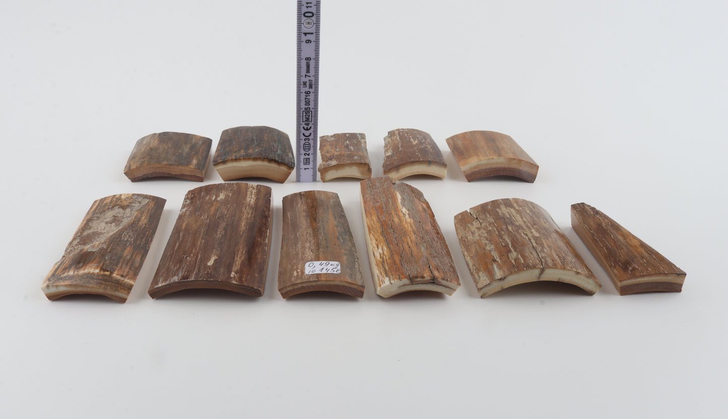 Beige-brown mammoth bark pieces