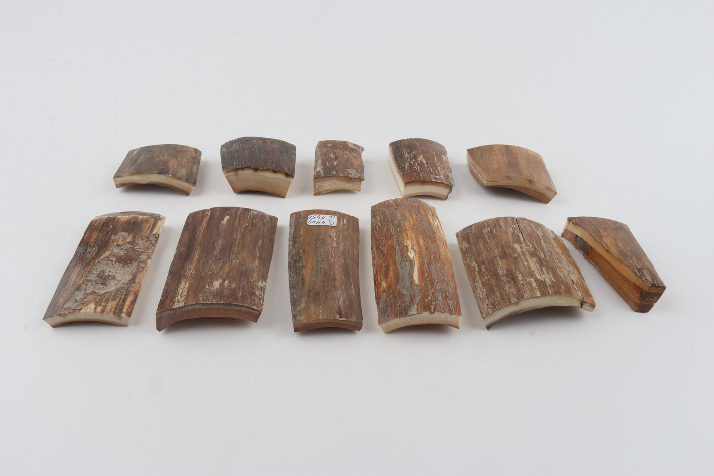 Beige-brown mammoth bark pieces