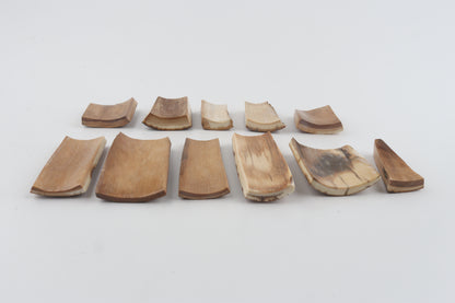 Beige-brown mammoth bark pieces