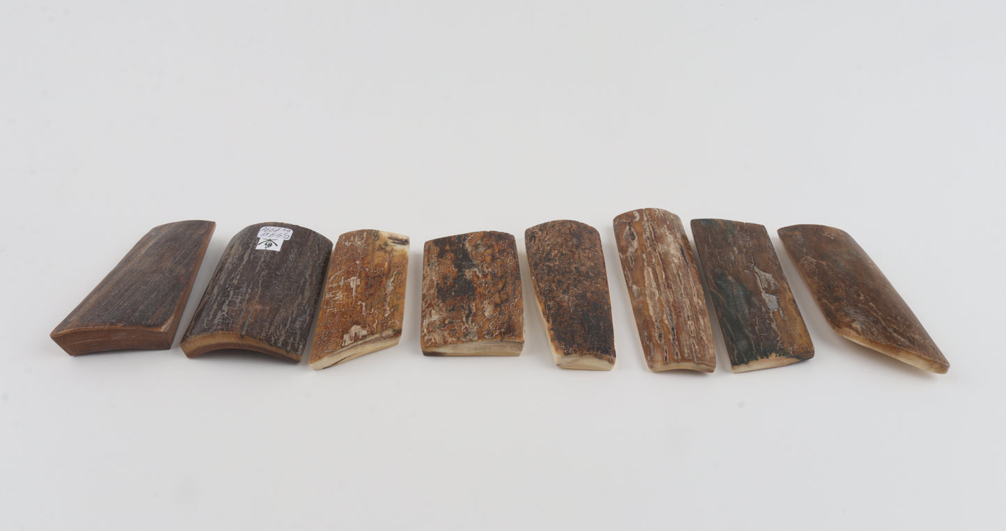 Natural mammoth bark pieces