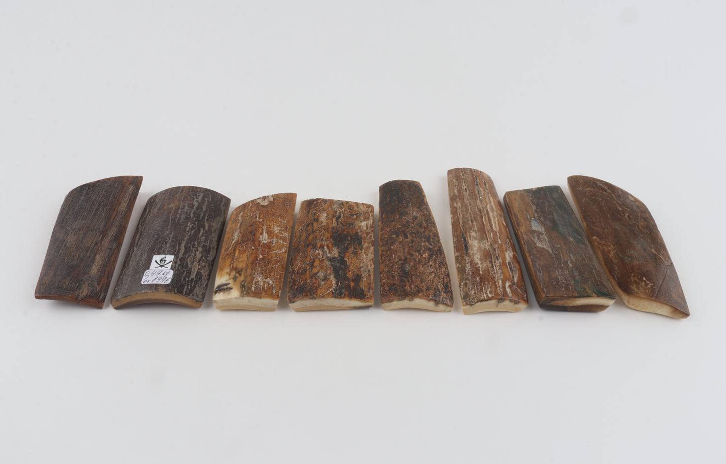 Natural mammoth bark pieces