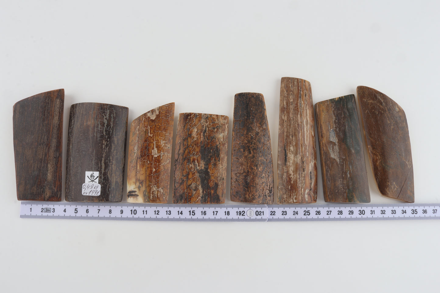 Natural mammoth bark pieces