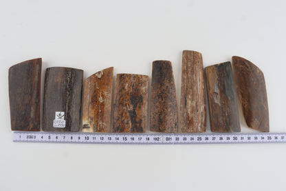 Natural mammoth bark pieces
