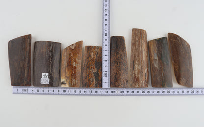 Natural mammoth bark pieces