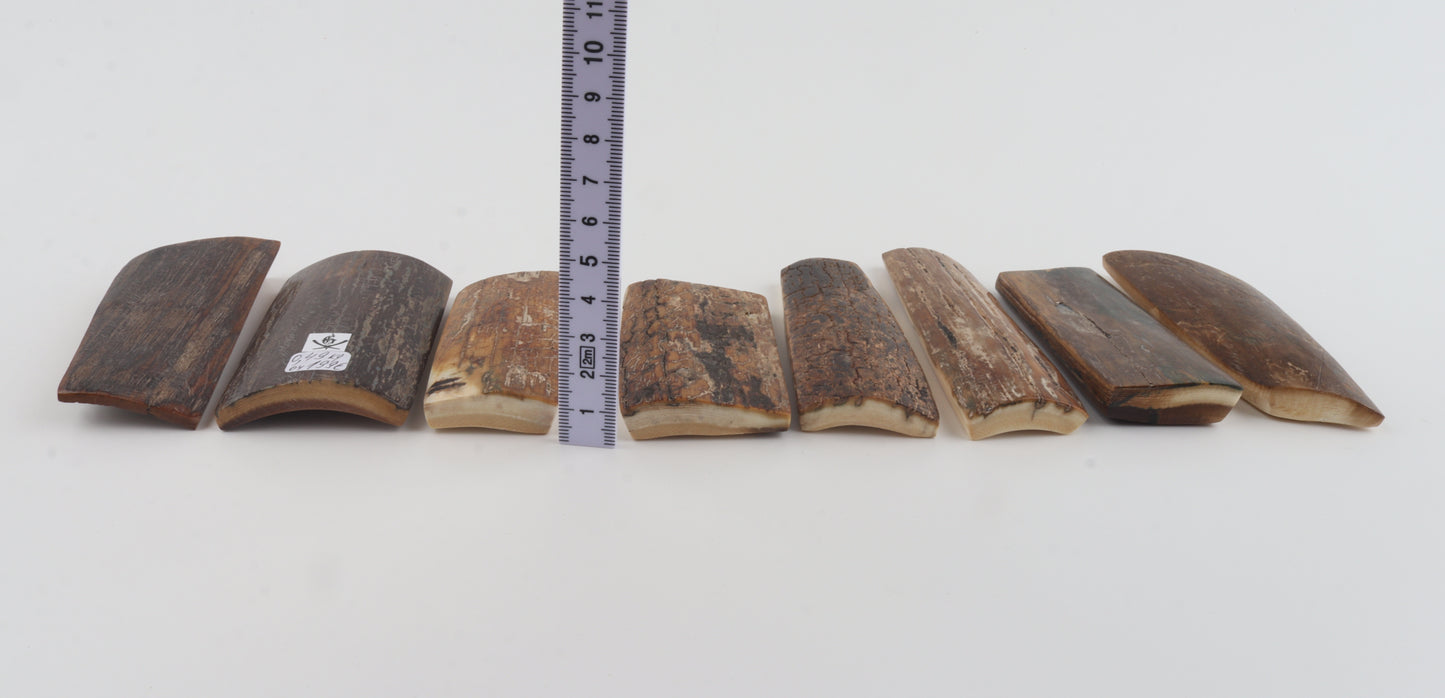 Natural mammoth bark pieces
