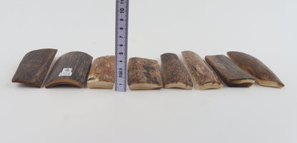 Natural mammoth bark pieces