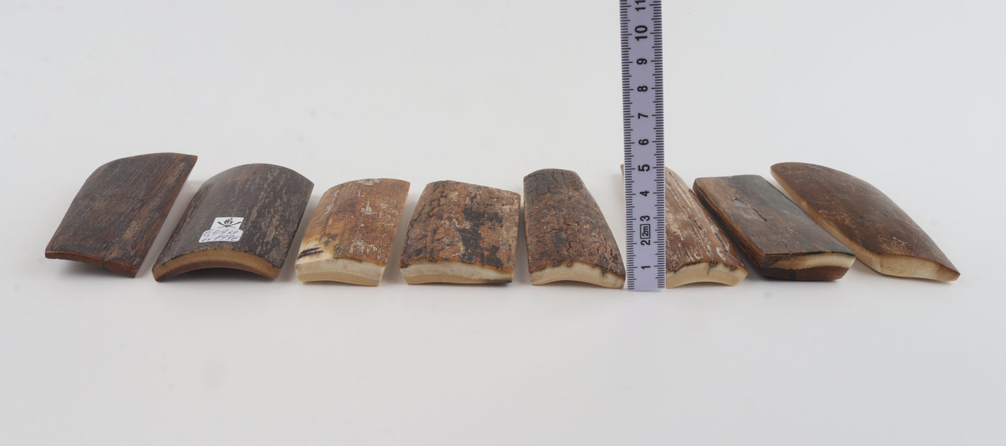 Natural mammoth bark pieces