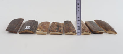 Natural mammoth bark pieces