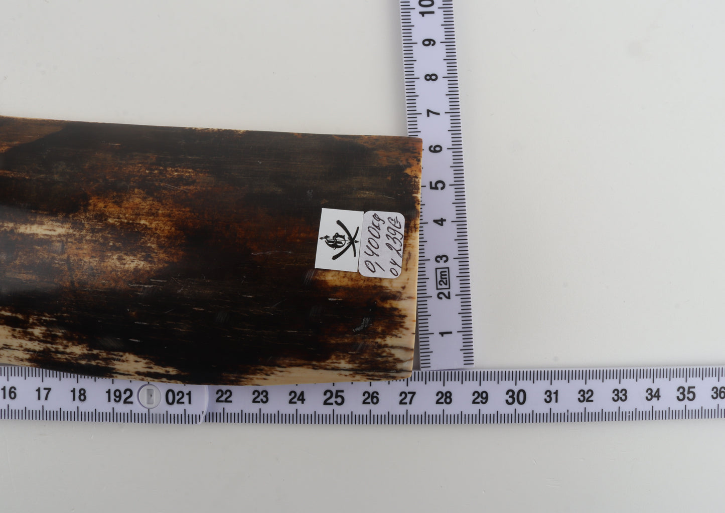 Brown mammoth bark