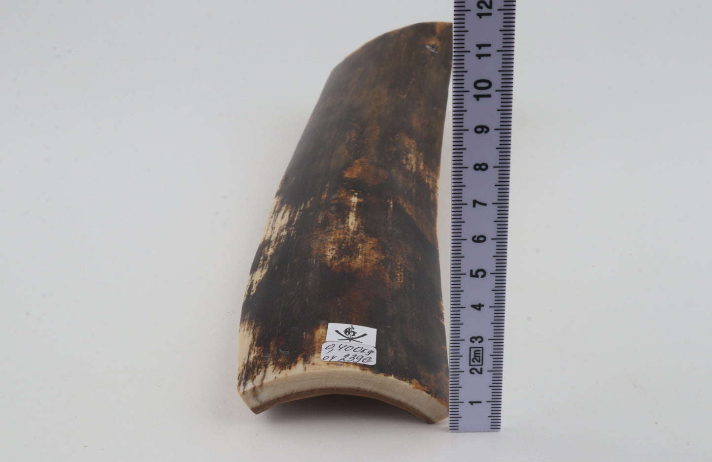 Brown mammoth bark