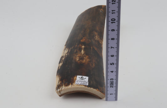 Brown mammoth bark