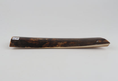 Brown mammoth bark