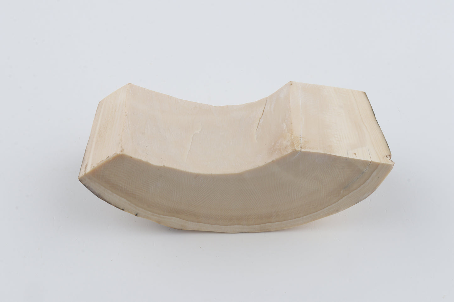 Natural mammoth tusk piece