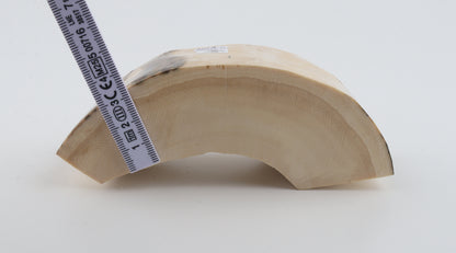 Natural mammoth tusk piece