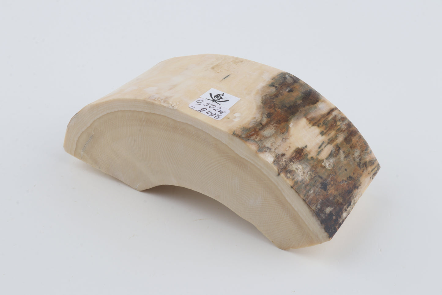 Natural mammoth tusk piece