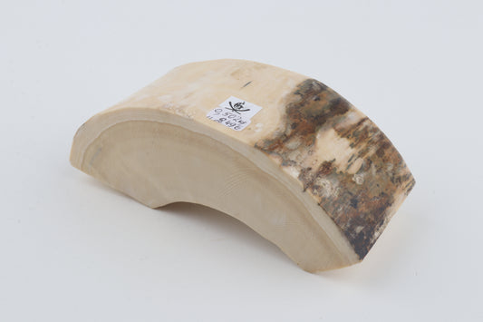 Natural mammoth tusk piece