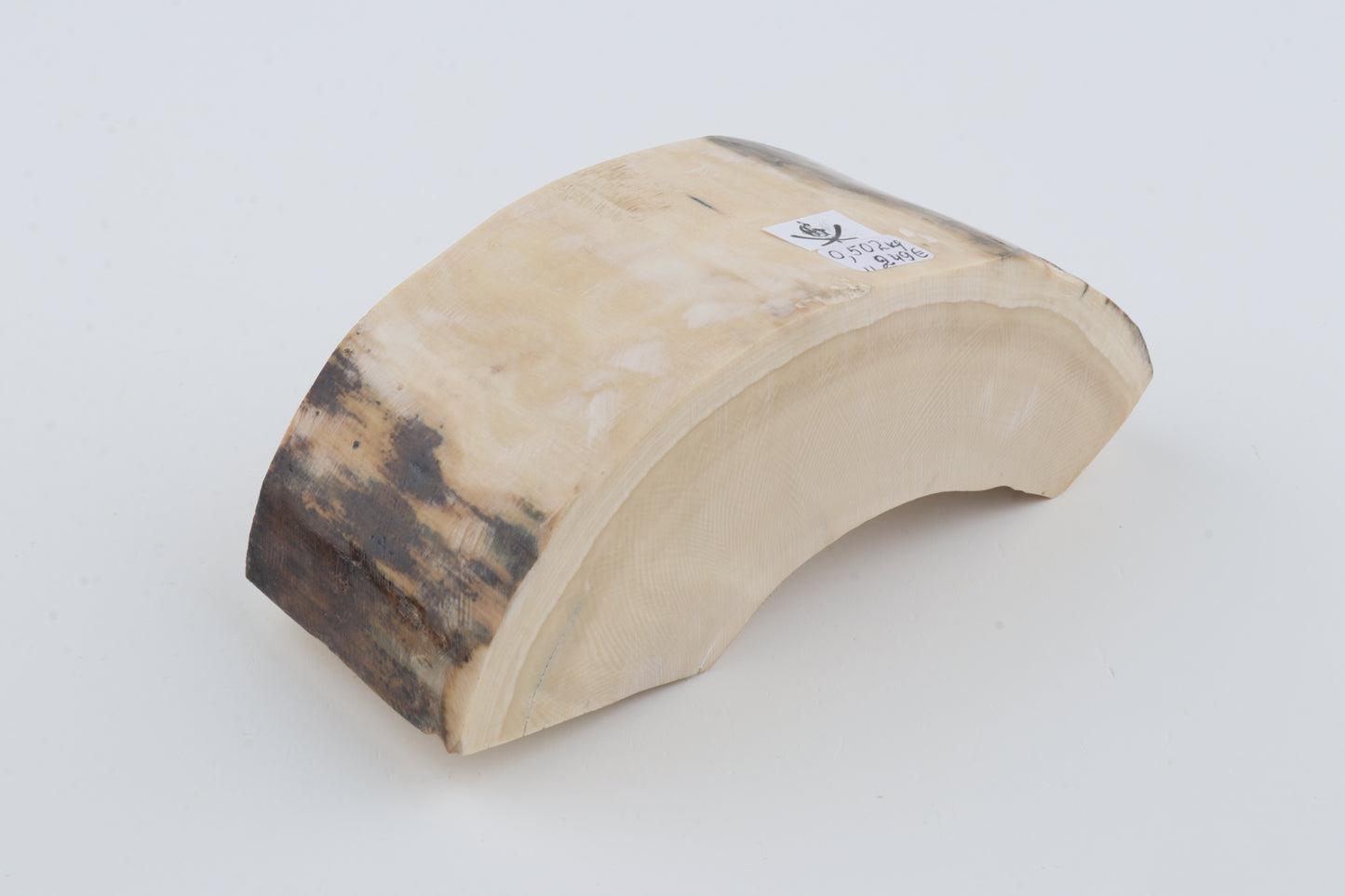 Natural mammoth tusk piece